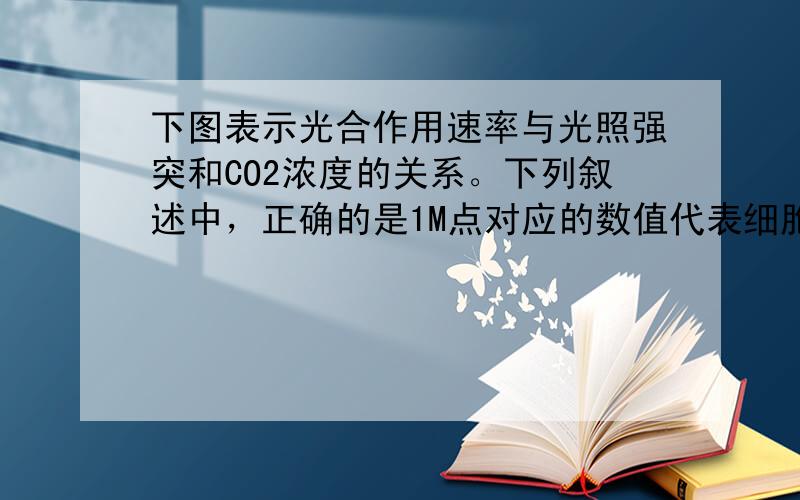 下图表示光合作用速率与光照强突和CO2浓度的关系。下列叙述中，正确的是1M点对应的数值代表细胞呼吸的