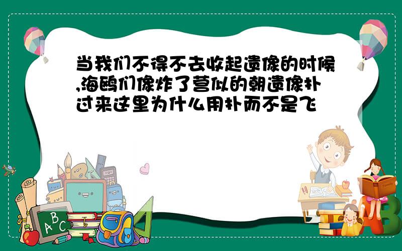 当我们不得不去收起遗像的时候,海鸥们像炸了营似的朝遗像扑过来这里为什么用扑而不是飞