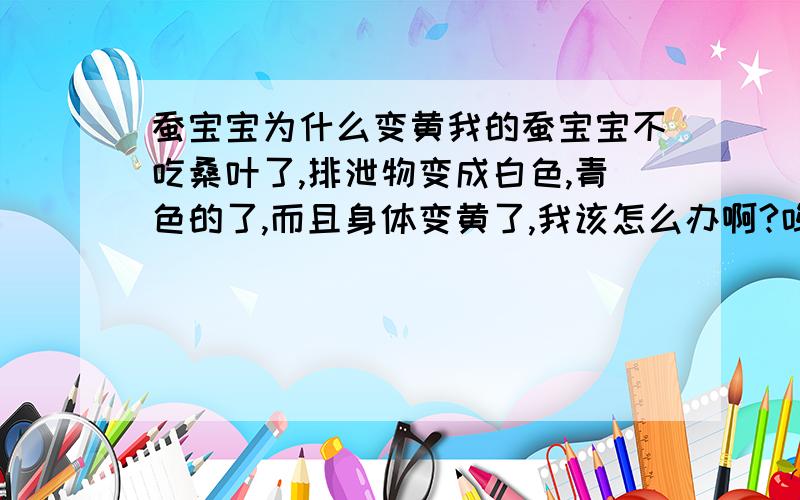 蚕宝宝为什么变黄我的蚕宝宝不吃桑叶了,排泄物变成白色,青色的了,而且身体变黄了,我该怎么办啊?呜呜呜呜呜呜呜呜呜呜呜呜呜呜呜呜呜呜呜呜呜.