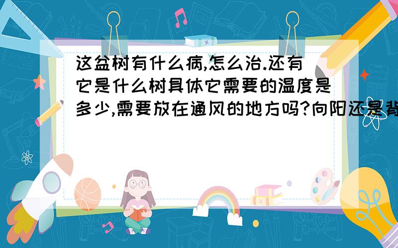 这盆树有什么病,怎么治.还有它是什么树具体它需要的温度是多少,需要放在通风的地方吗?向阳还是背阴啊?多长时间浇一次水?求懂得人赐教,