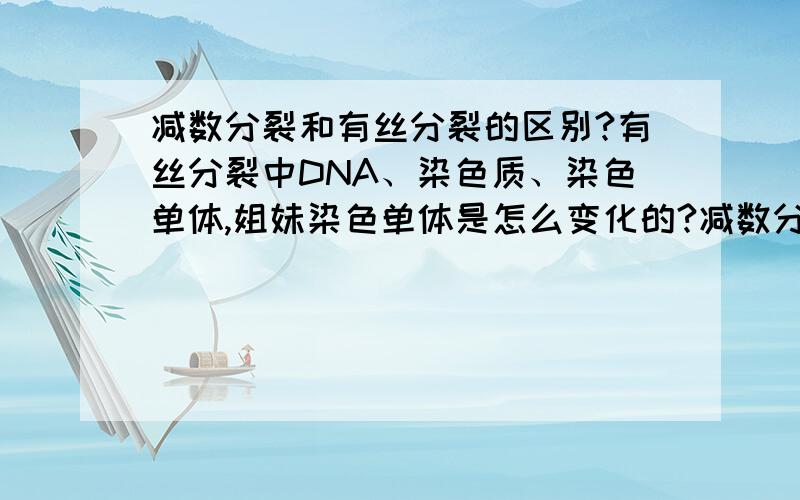 减数分裂和有丝分裂的区别?有丝分裂中DNA、染色质、染色单体,姐妹染色单体是怎么变化的?减数分裂中DNA、染色体、同源染色体,姐妹染色单体,染色单体是怎变化的?