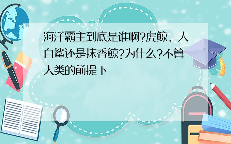 海洋霸主到底是谁啊?虎鲸、大白鲨还是抹香鲸?为什么?不算人类的前提下