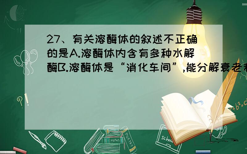 27、有关溶酶体的叙述不正确的是A.溶酶体内含有多种水解酶B.溶酶体是“消化车间”,能分解衰老和损伤的细胞器C.溶酶体能吞噬并杀死侵入细胞的病毒或病菌D.溶酶体能分解细胞内所有的物