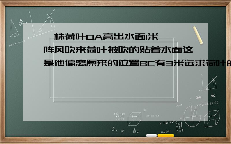 一株荷叶OA高出水面1米,一阵风吹来荷叶被吹的贴着水面这是他偏离原来的位置BC有3米远求荷叶的?D