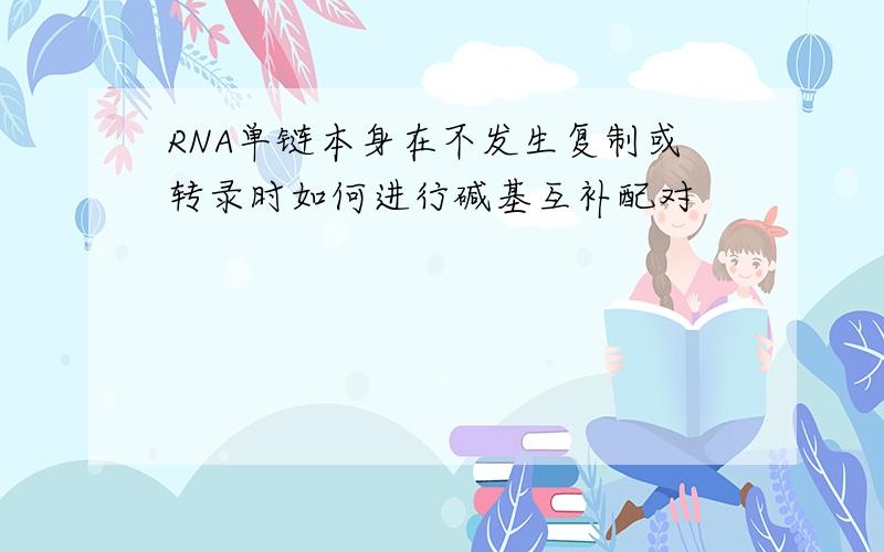 RNA单链本身在不发生复制或转录时如何进行碱基互补配对