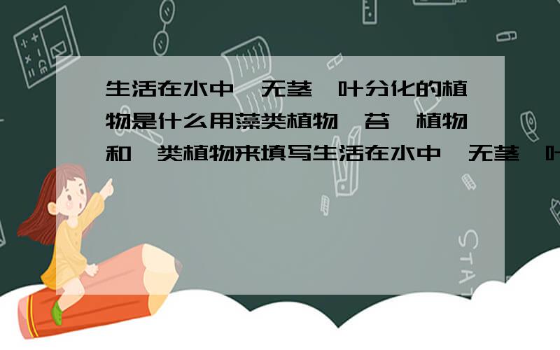 生活在水中、无茎、叶分化的植物是什么用藻类植物、苔藓植物和蕨类植物来填写生活在水中、无茎、叶分化的植物是（ ）生活在阴湿环境、有茎、叶分化的是（ ）能用根吸收水分的和无