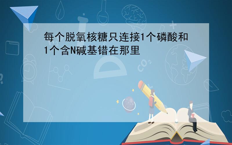 每个脱氧核糖只连接1个磷酸和1个含N碱基错在那里