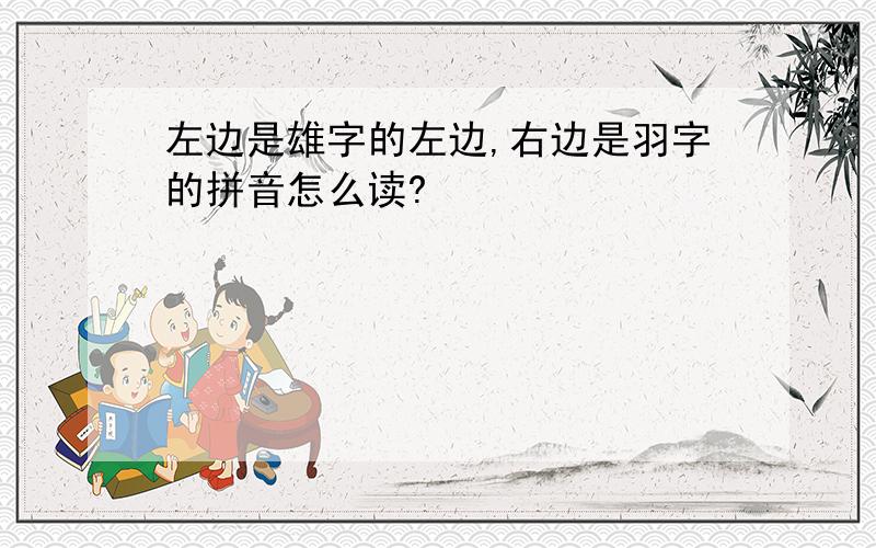 左边是雄字的左边,右边是羽字的拼音怎么读?