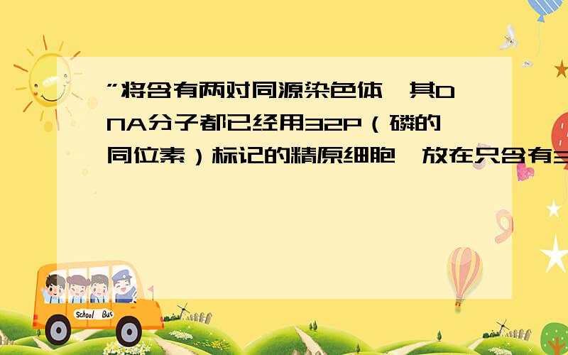 ”将含有两对同源染色体,其DNA分子都已经用32P（磷的同位素）标记的精原细胞,放在只含有31P的原料中进行减数分裂.则该细胞所产生的四个精子中含31P和32P标记精子所占的比例分别是多少”