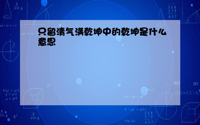 只留清气满乾坤中的乾坤是什么意思