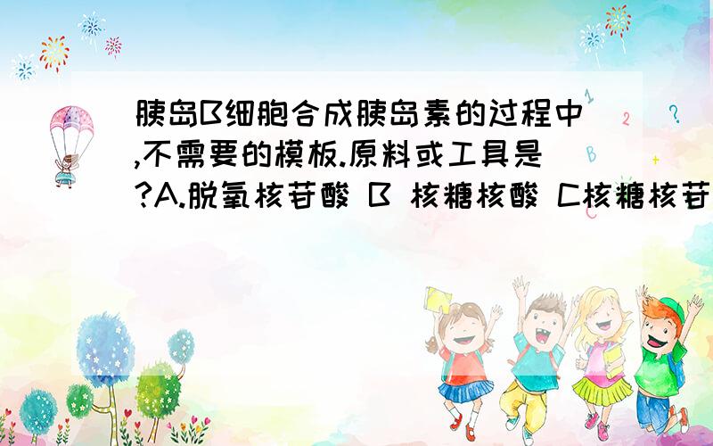 胰岛B细胞合成胰岛素的过程中,不需要的模板.原料或工具是?A.脱氧核苷酸 B 核糖核酸 C核糖核苷酸 D氨基酸DNA不是转录的模板么?