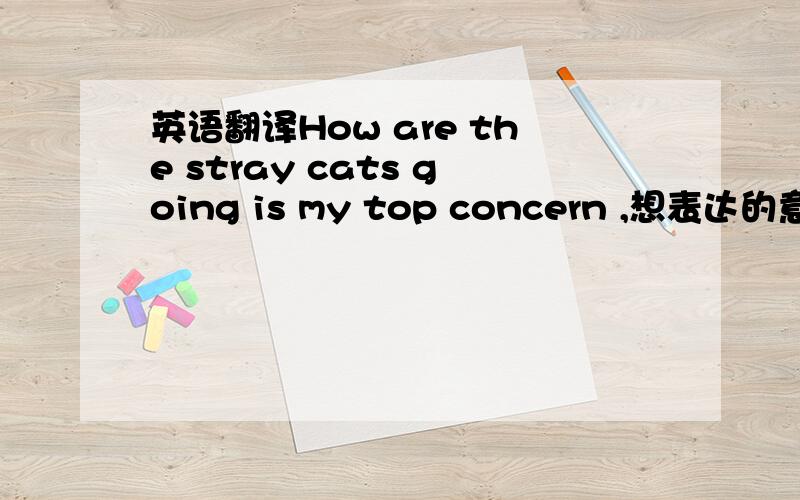 英语翻译How are the stray cats going is my top concern ,想表达的意思是流浪猫何去何从是我最关心的事,题目是半命题的，就是xxxxxxxx is my top concern