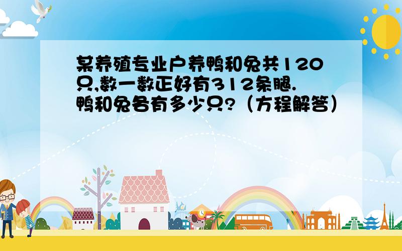 某养殖专业户养鸭和兔共120只,数一数正好有312条腿.鸭和兔各有多少只?（方程解答）