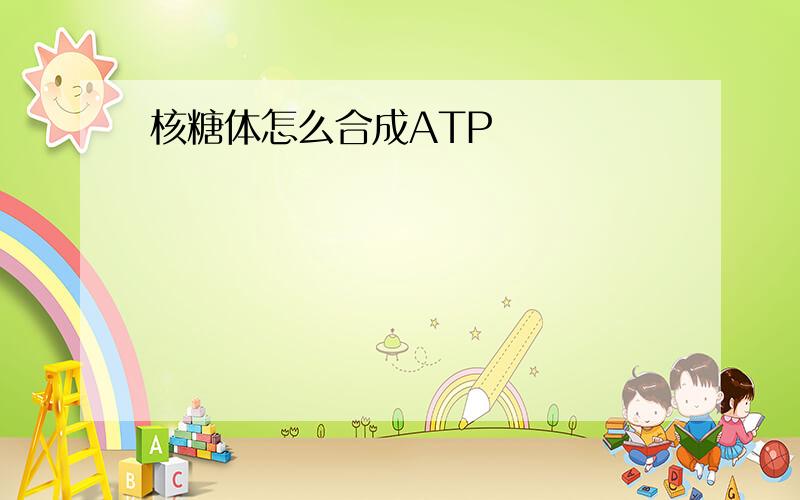 核糖体怎么合成ATP