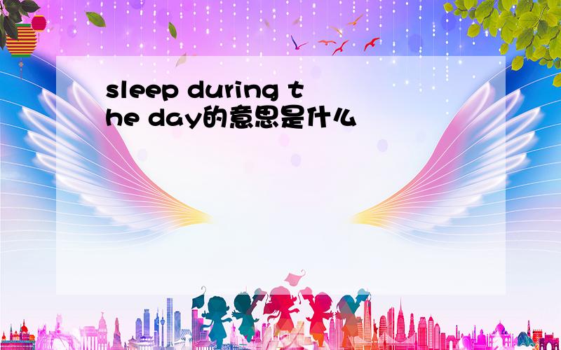 sleep during the day的意思是什么