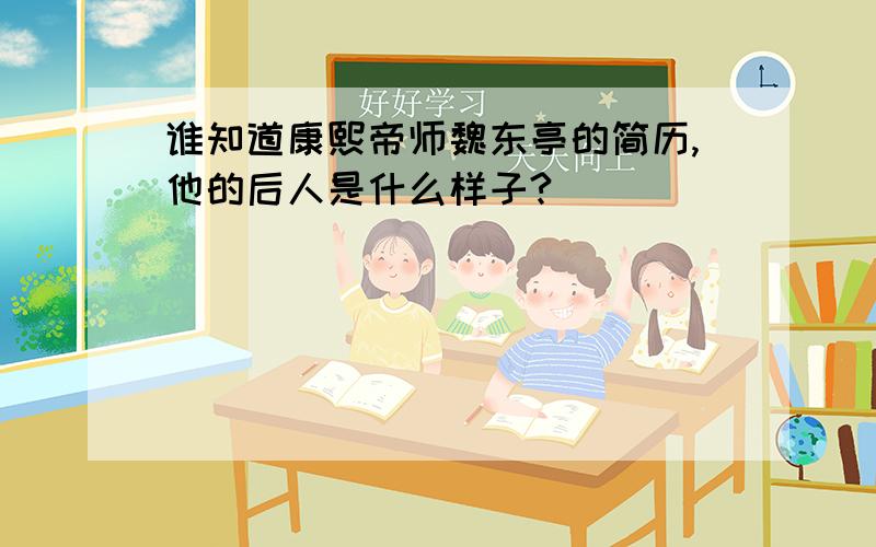 谁知道康熙帝师魏东亭的简历,他的后人是什么样子?