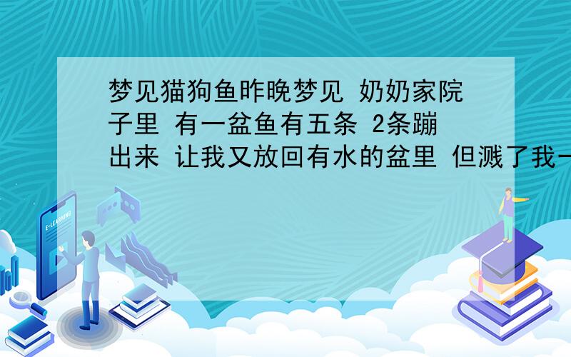 梦见猫狗鱼昨晚梦见 奶奶家院子里 有一盆鱼有五条 2条蹦出来 让我又放回有水的盆里 但溅了我一身水 然后又梦见出现了一只黄猫和一只黑狗 黑狗的爪子很尖锐 还有一个没记住是什么 之后