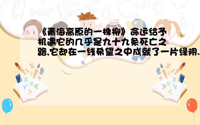 《青海高原的一株柳》命运给予机遇它的几乎是九十九条死亡之路,它却在一线希望之中成就了一片绿阴.1.你从“九十九条死亡之路”与“一线希望”中体会到了什么?2.这句话仅仅是在写柳树