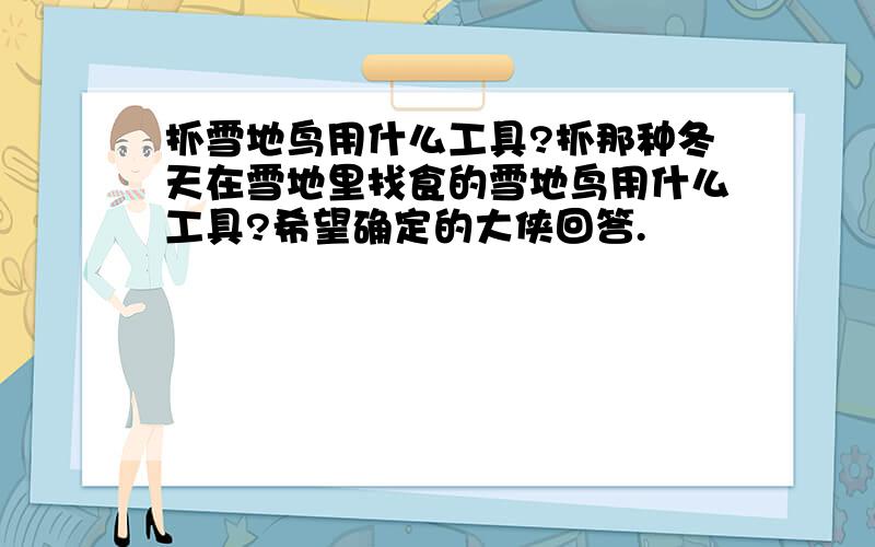 抓雪地鸟用什么工具?抓那种冬天在雪地里找食的雪地鸟用什么工具?希望确定的大侠回答.