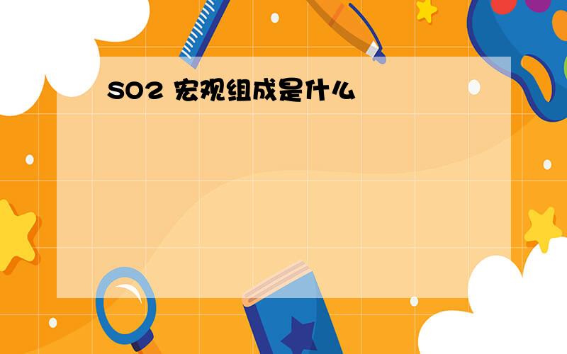 SO2 宏观组成是什么