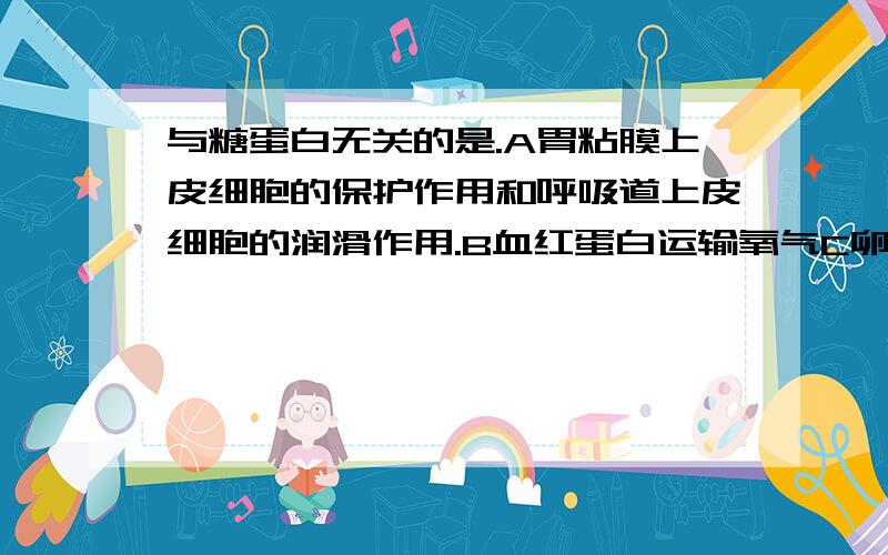 与糖蛋白无关的是.A胃粘膜上皮细胞的保护作用和呼吸道上皮细胞的润滑作用.B血红蛋白运输氧气C卵细胞表面对同种精子的识别D记忆细胞对抗原的记忆