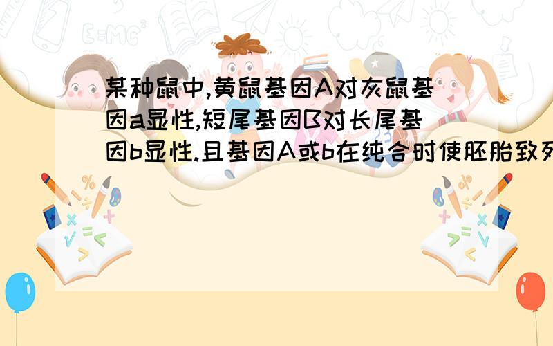 某种鼠中,黄鼠基因A对灰鼠基因a显性,短尾基因B对长尾基因b显性.且基因A或b在纯合时使胚胎致死,这两对基因位于非同源染色上.现有两只双杂合的黄色短尾鼠交配,理论上所生成的子代中杂合