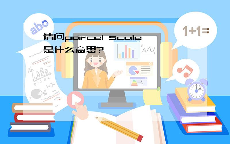 请问parcel scale是什么意思?