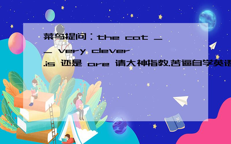 菜鸟提问：the cat __ very clever .is 还是 are 请大神指教.苦逼自学英语中.