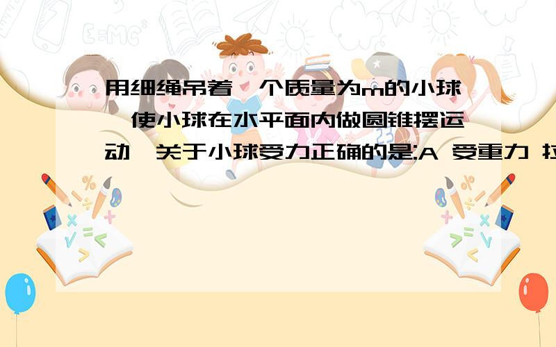 用细绳吊着一个质量为m的小球,使小球在水平面内做圆锥摆运动,关于小球受力正确的是:A 受重力 拉力 向心力B 受重力 拉力C 重力D 以上均不正确