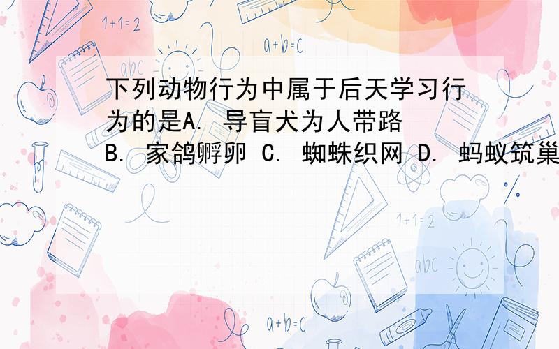 下列动物行为中属于后天学习行为的是A. 导盲犬为人带路 B. 家鸽孵卵 C. 蜘蛛织网 D. 蚂蚁筑巢