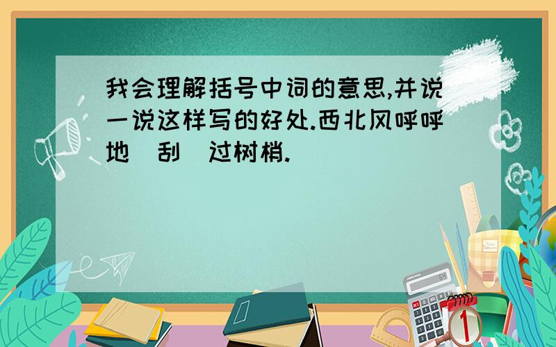 我会理解括号中词的意思,并说一说这样写的好处.西北风呼呼地（刮）过树梢.