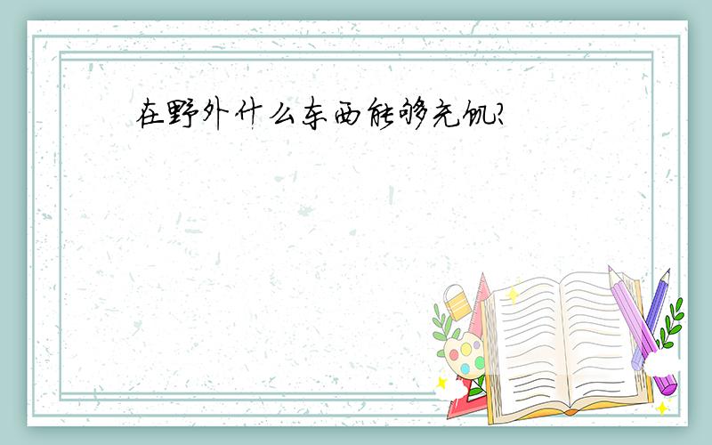 在野外什么东西能够充饥?