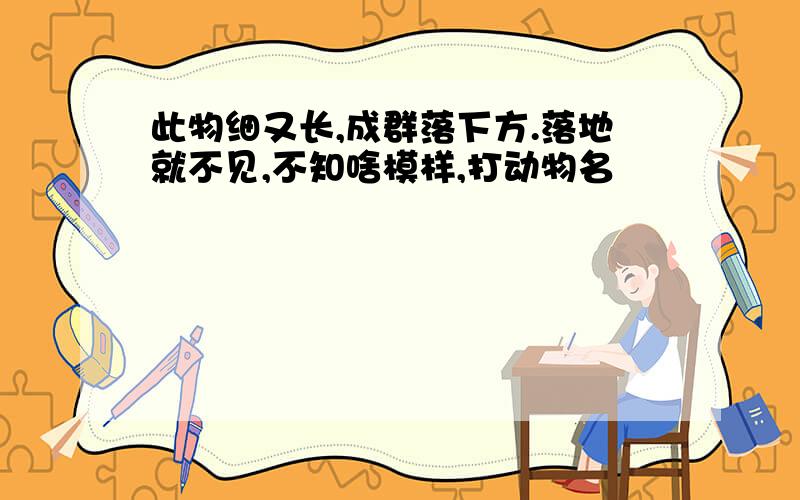 此物细又长,成群落下方.落地就不见,不知啥模样,打动物名