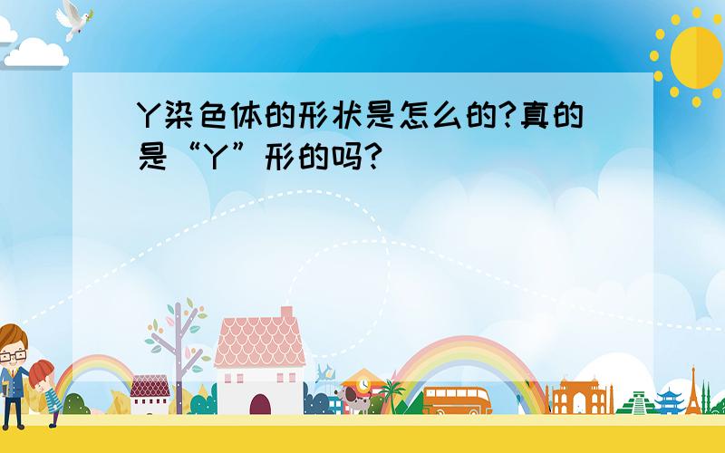 Y染色体的形状是怎么的?真的是“Y”形的吗?