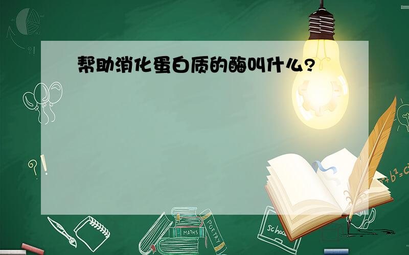 帮助消化蛋白质的酶叫什么?