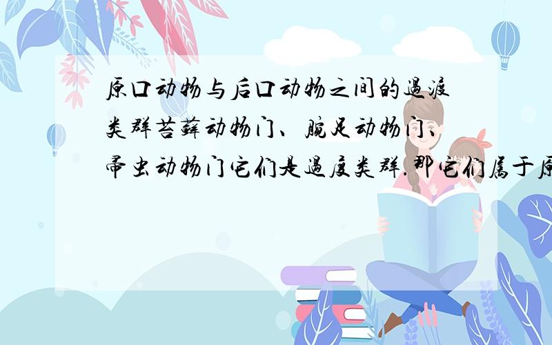 原口动物与后口动物之间的过渡类群苔藓动物门、腕足动物门、帚虫动物门它们是过度类群.那它们属于原口还是后口 还是都不属于.