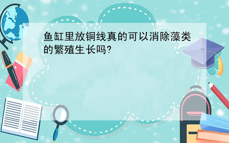 鱼缸里放铜线真的可以消除藻类的繁殖生长吗?