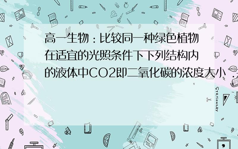 高一生物：比较同一种绿色植物在适宜的光照条件下下列结构内的液体中CO2即二氧化碳的浓度大小 .并说明原因  A 叶绿体基质 B 叶绿体基粒  C 叶肉细胞