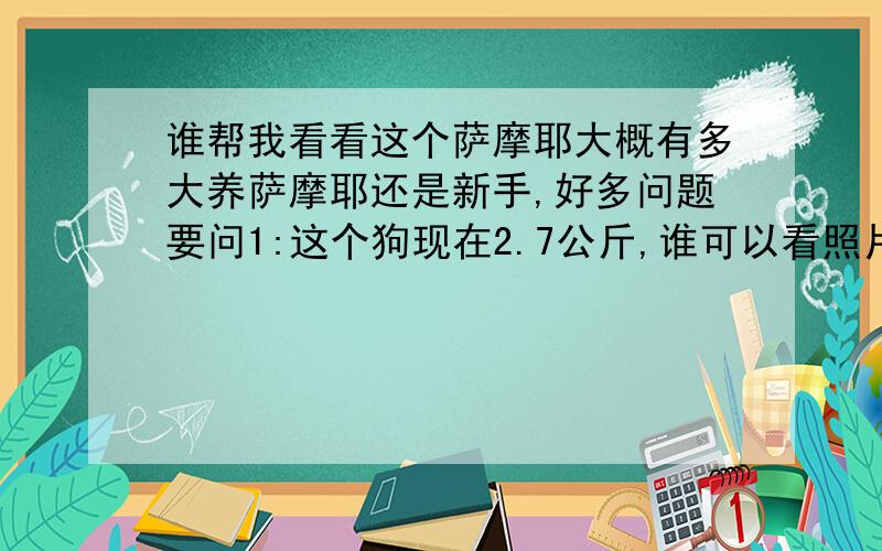 谁帮我看看这个萨摩耶大概有多大养萨摩耶还是新手,好多问题要问1:这个狗现在2.7公斤,谁可以看照片推测下它的年龄,卖家告我它11月1号是53天,可是我看它没那么大2：买回来多久做驱虫,驱虫