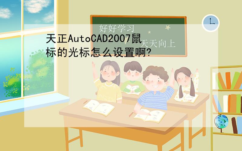 天正AutoCAD2007鼠标的光标怎么设置啊?