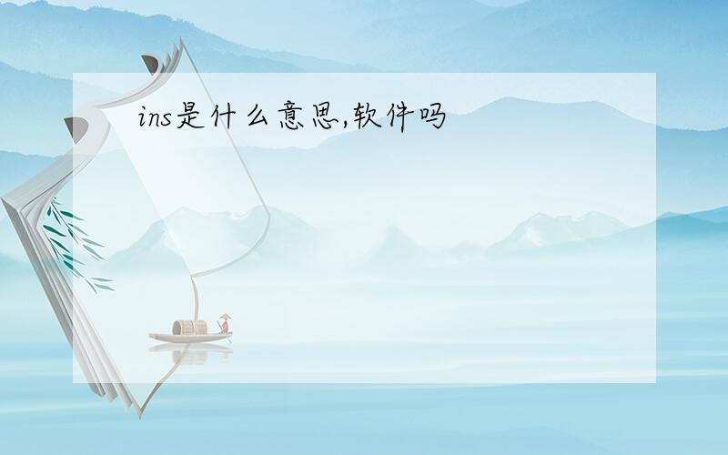 ins是什么意思,软件吗