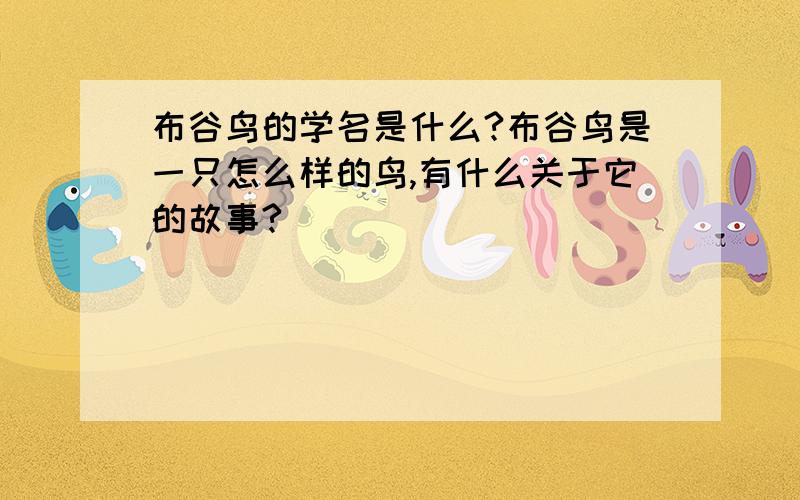 布谷鸟的学名是什么?布谷鸟是一只怎么样的鸟,有什么关于它的故事?