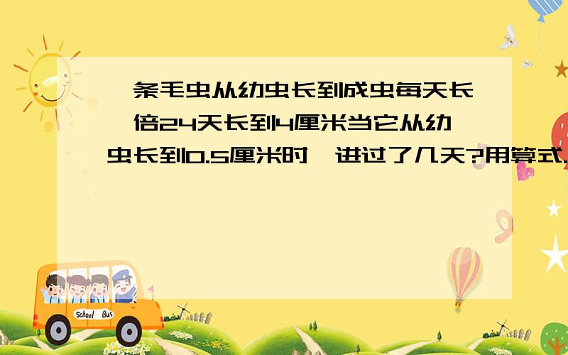 一条毛虫从幼虫长到成虫每天长一倍24天长到4厘米当它从幼虫长到0.5厘米时,进过了几天?用算式.