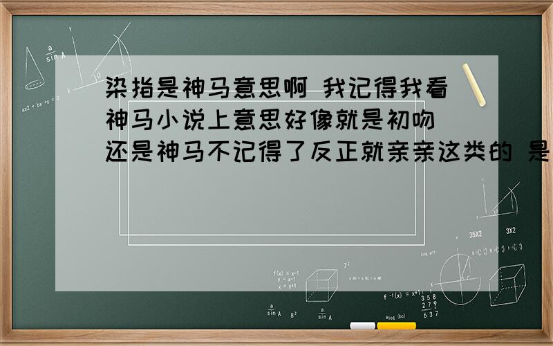 染指是神马意思啊 我记得我看神马小说上意思好像就是初吻 还是神马不记得了反正就亲亲这类的 是不是这个意思啊