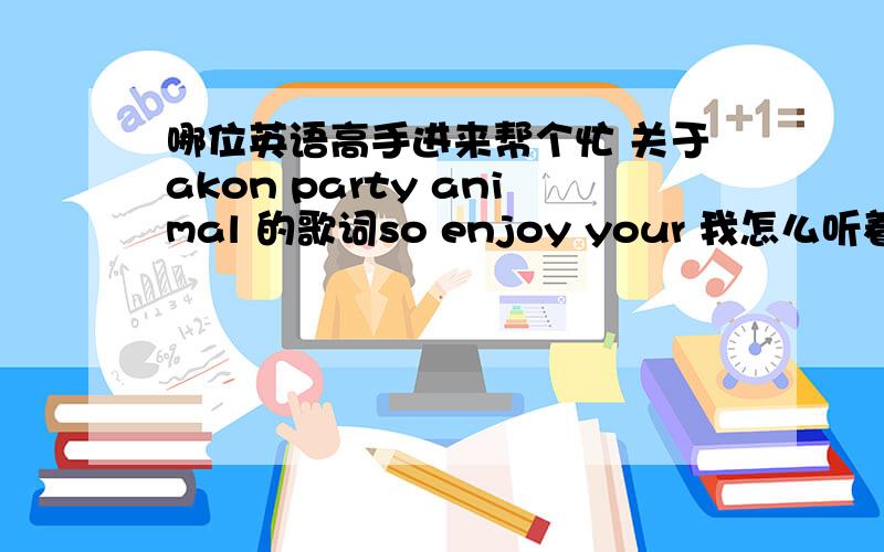 哪位英语高手进来帮个忙 关于akon party animal 的歌词so enjoy your 我怎么听着是deja vu?但是查了很多地方 都是 night out