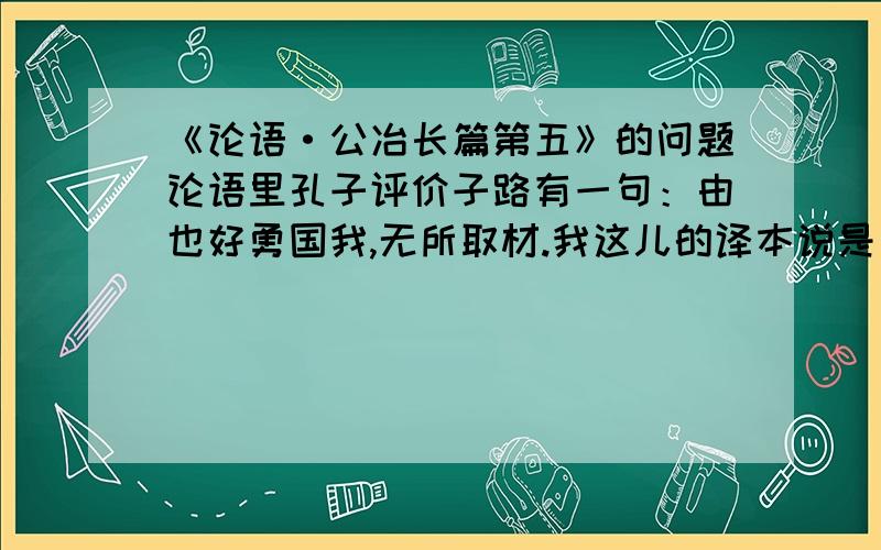 《论语·公冶长篇第五》的问题论语里孔子评价子路有一句：由也好勇国我,无所取材.我这儿的译本说是：仲由太好勇了,他好勇的精神大大超过了我,这就没什么可取的了.可是我记得傅佩荣教