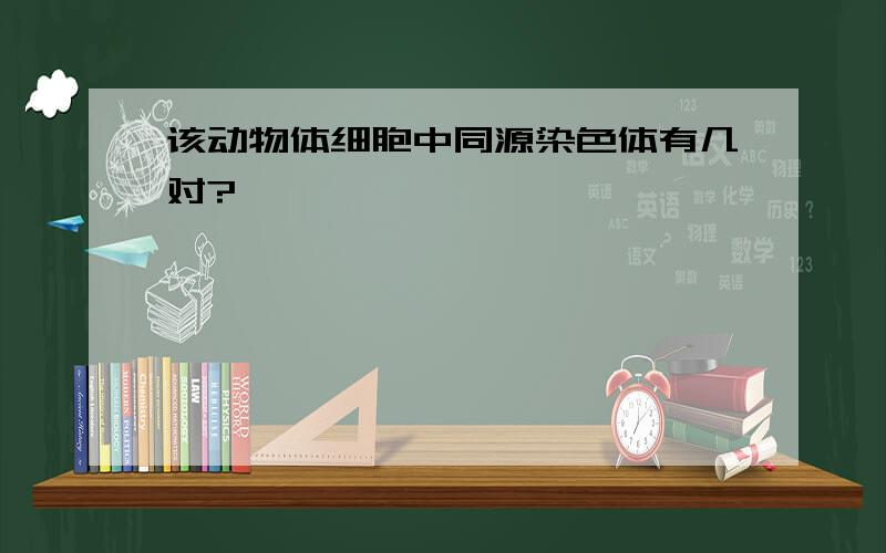 该动物体细胞中同源染色体有几对?