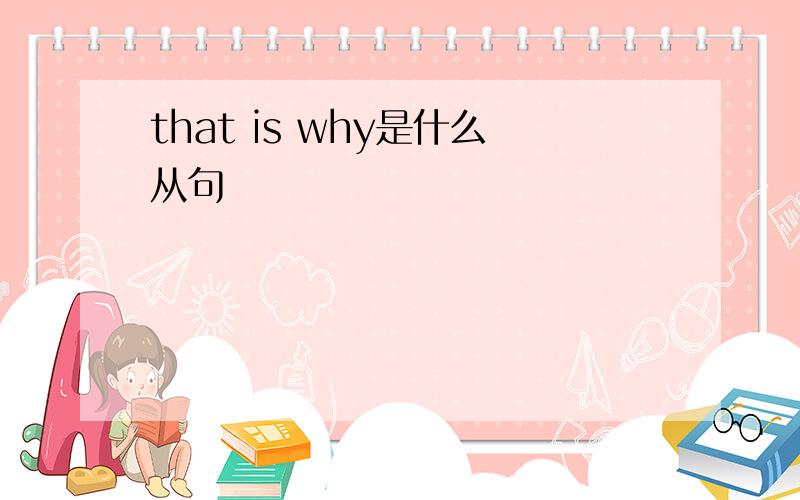 that is why是什么从句