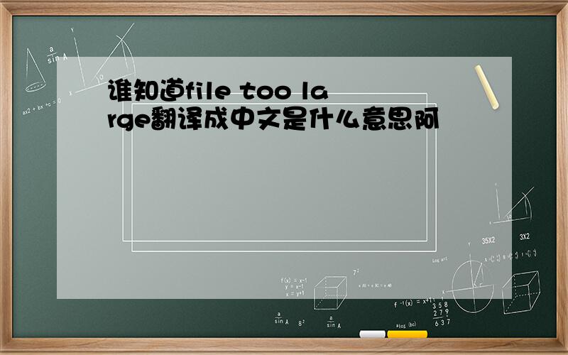 谁知道file too large翻译成中文是什么意思阿