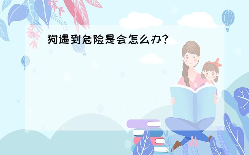 狗遇到危险是会怎么办?